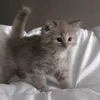 jakas..osobka0