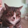 ziggy00006