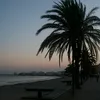 raphael_r