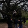 boorad.p