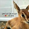 aa_t2022