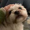molly_0y