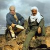 emhamed87