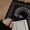 sindamersni18