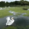 la.nature.natal