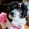 betatriz6