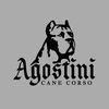 Agostini Cane Corso