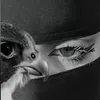 alghazala99