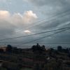 elvichivic