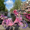 travelcrazy__