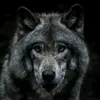 usuario_desconocido10111