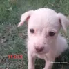 ciro.y.isa