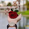 user4480371644705