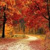 greentrees60