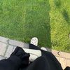 strahma_07