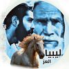 naser.altrhoni