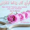 user9657268737245