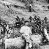 allabouthaikal__
