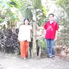 phuongxe32