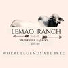 LEMAO RANCH