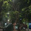 skyyy13_4