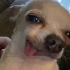 imongmamita