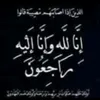shaza.y.nariman