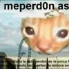elpibewaza10