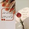 fatmah.ali899