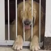 heeeyme
