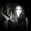 zena.arz