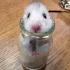 thuyylinhh009