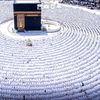 al.farissy5