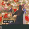 mariamughal374