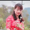 hanhchinh20