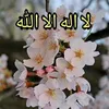 rahylgyan0