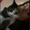 alyswaifu
