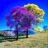 b_elhassan