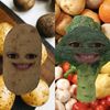 zabrinaqs
