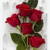 fatimahhabeeb3