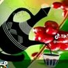 user8031223026567