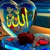 user4037086171601