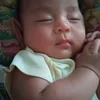 adeng341