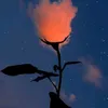 4ophies