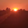 kerkis_08