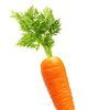 carrotsrule12