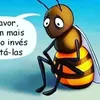 emilson123plastergmail.c