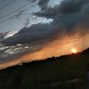 cale_319