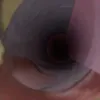 pequepet