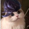 egyy_suka_ngetroll